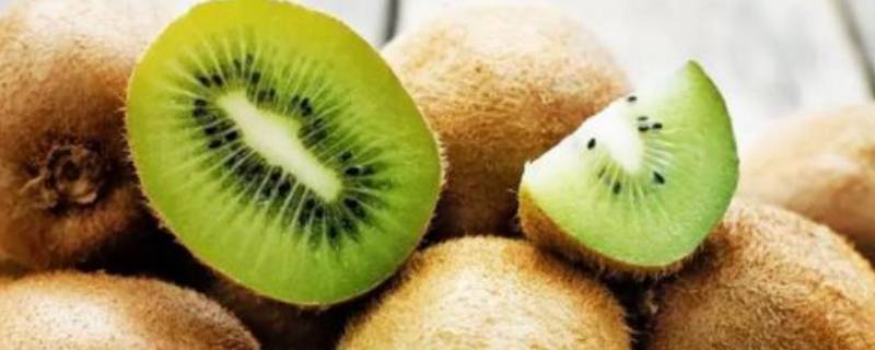 猕猴桃什么样子才算熟（猕猴桃什么样算熟了）