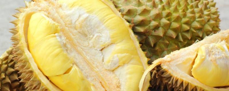 吃榴莲的季节是几月份(吃榴莲的季节是几月份呀)