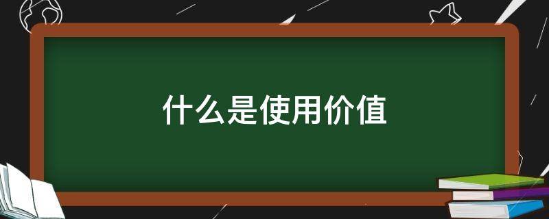 什么是使用价值 什么是使用价值量