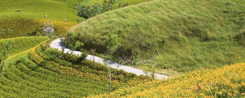 芈月山在什么省 有芈月山这个地方吗