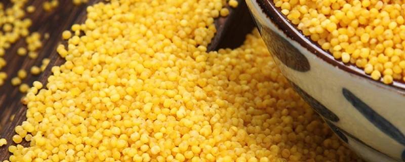 沁州黄小米产地在哪 沁州黄小米产于哪里