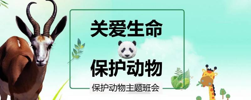 保护动物有哪些 保护动物有哪些措施