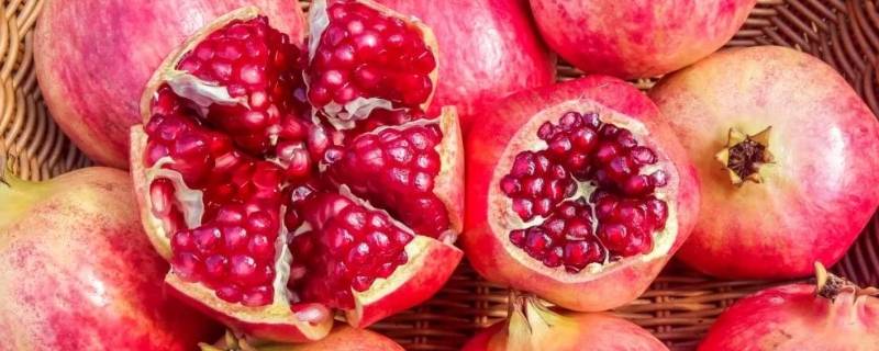 软籽石榴能存放多久（软籽石榴保存时间）