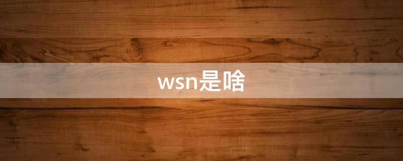 wsn是啥 wsn是啥意思呀