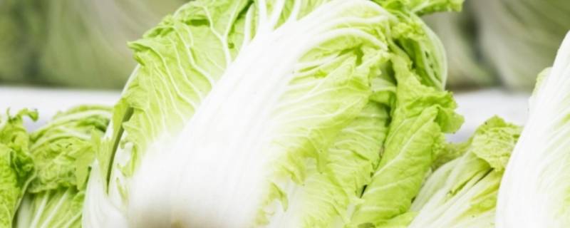 越冬蔬菜有哪些(越冬菜都有什么)