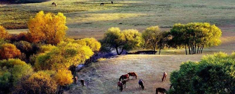 塞罕坝位于河北省哪个县境内（塞罕坝位于河北省哪个县境内?）