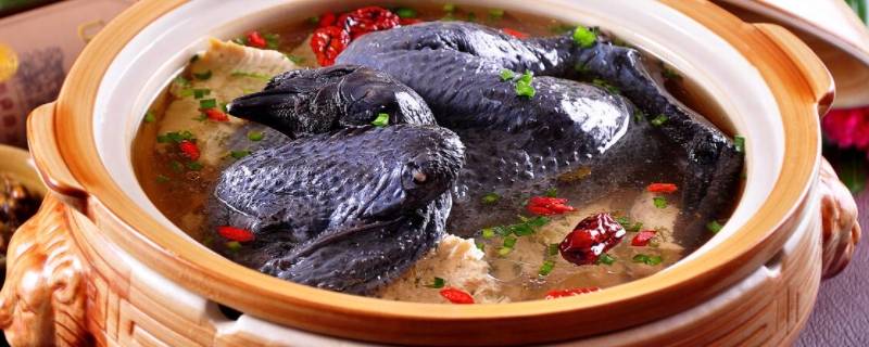 乌鸡炖个1小时可以吗（乌鸡炖多少分钟就可以了）