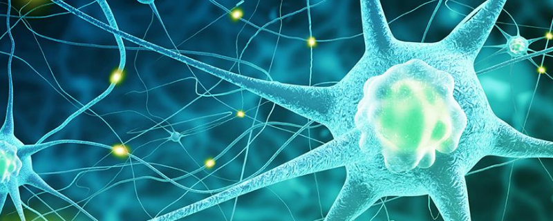 人体健康是由谁决定的 身体健康是指谁