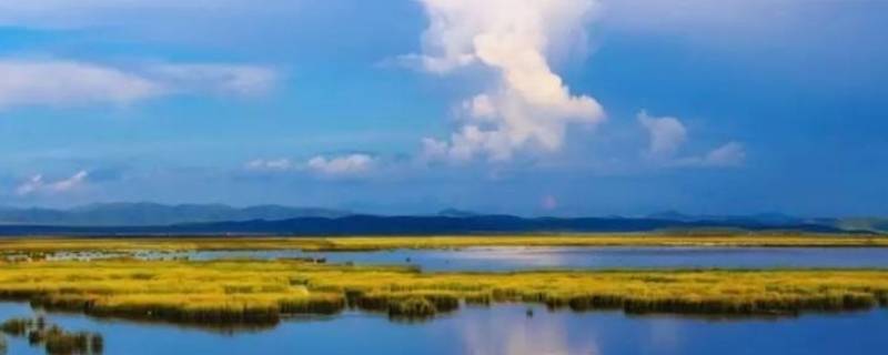 花湖海拔（甘孜莲花湖海拔）