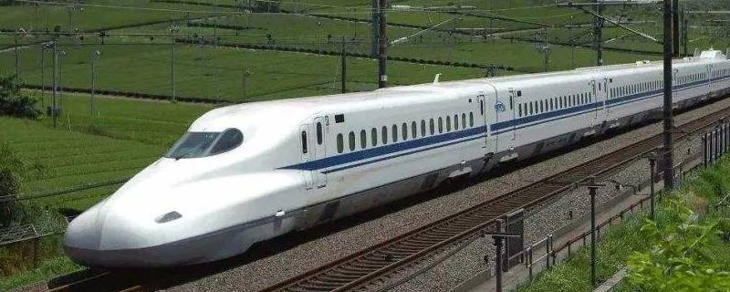 高铁能带猫吗 高铁 能带猫吗