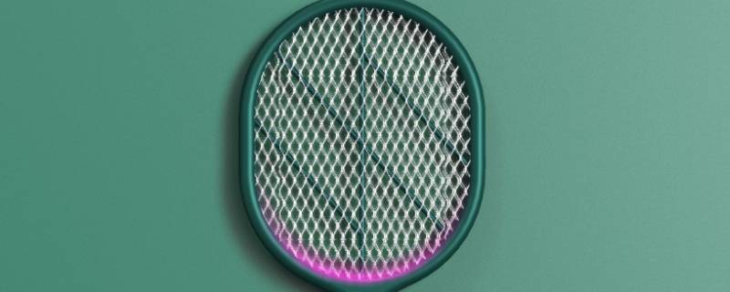 打蚊子的工具叫什么（打蚊子的工具叫什么名字）