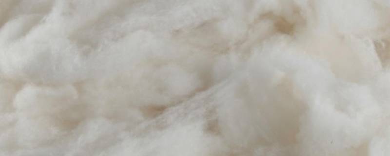 绵羊绒的成分是什么 羊绒的主要成分是什么