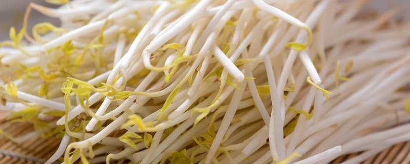 绿豆芽能放几天（绿豆发芽用几天）