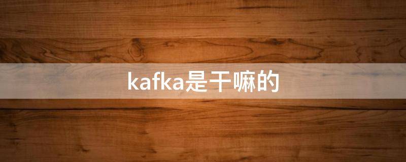 kafka是干嘛的（kafka 是什么）