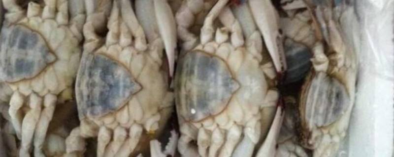 顺丰能寄活螃蟹海鲜吗 顺丰快递能寄海蟹吗