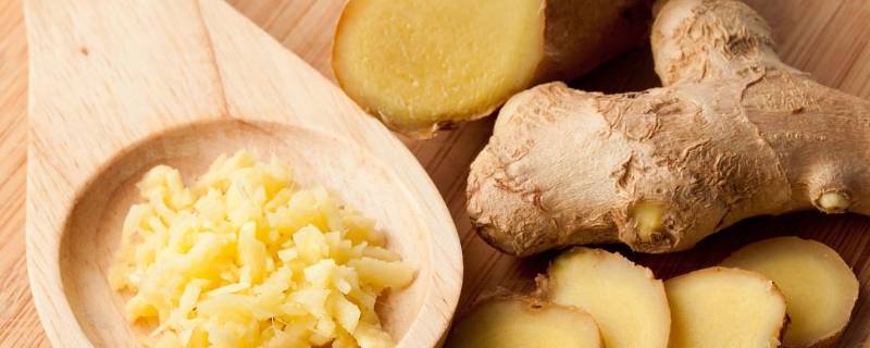 恒温库如何储存大姜（大姜能用恒温库储存吗）