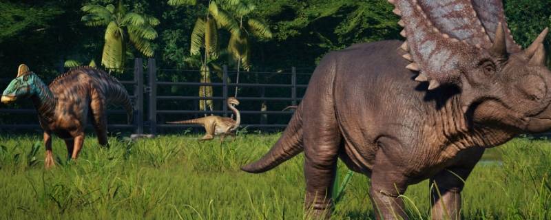 恐龙有哪几种 恐龙有哪几种种类