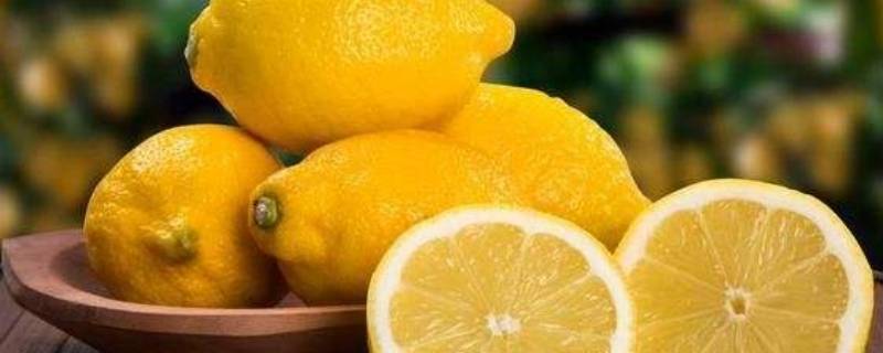 柠檬是感光食物吗 柠檬片是感光食物吗