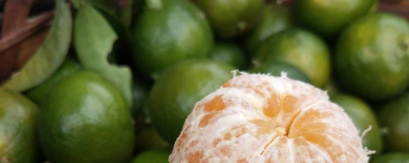 绿皮薄皮橘子叫啥 橘子皮是绿的