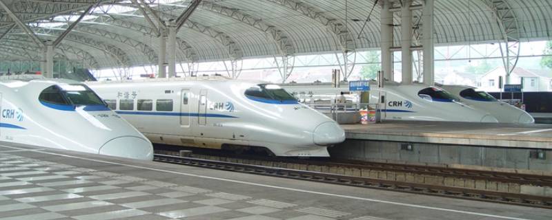 高铁能不能带宠物（高铁带宠物）