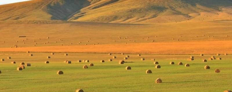 内蒙古多少个盟市(内蒙古多少个盟市2019)