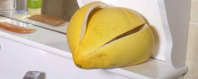 柚子皮可以驱赶蟑螂吗（桔子皮可以驱赶蟑螂吗）