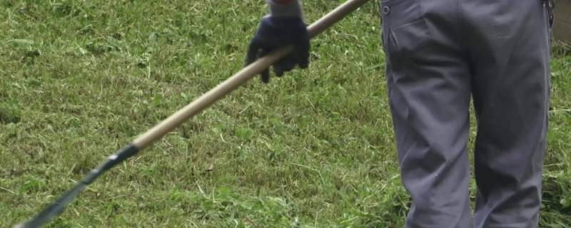 除草是什么季节（除草是什么季节二年级）