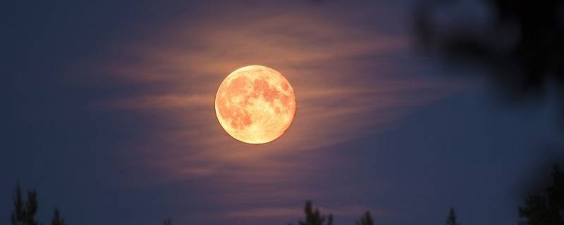 月亮的特点有哪些 月亮的特点有哪些作文