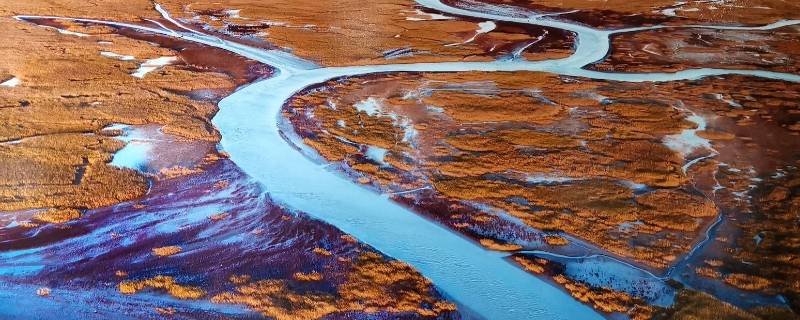 黄河里有大型鱼吗(黄河里有什么大鱼)