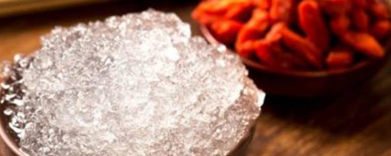 雪燕是凉性还是热性（雪燕是凉性还是热性还是温性的）