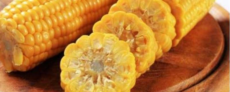 生玉米粒能直接冷冻保存吗 生玉米粒可以冷冻保存吗