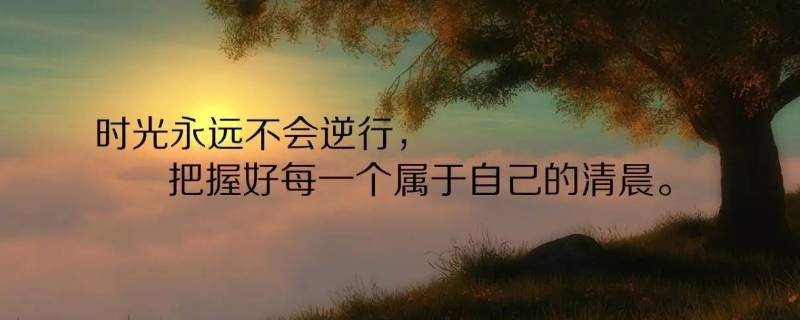 一句话经典（一句话经典人生格言）