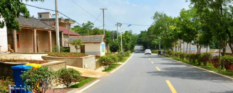 乡村振兴墙体标语（乡村振兴墙绘标语）