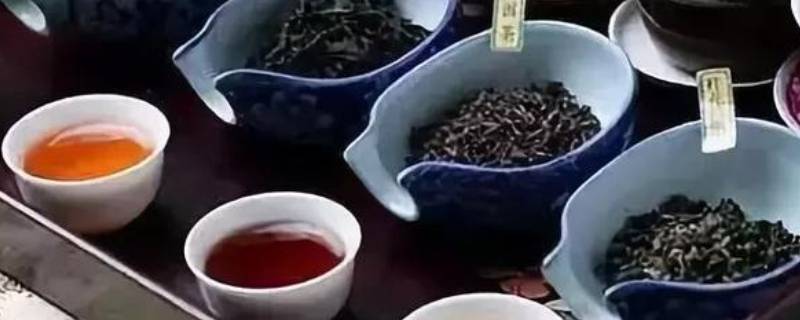 茶的品种有哪些（武夷岩茶的品种有哪些）