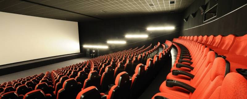 电影院可以带宠物吗 电影院可不可以带宠物