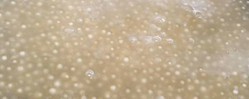 西米用冷水洗碎了还能用吗（西米用冷水泡了还能用吗）