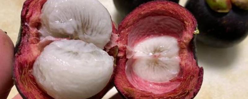 山竹容易坏吗（山竹容不容易坏）