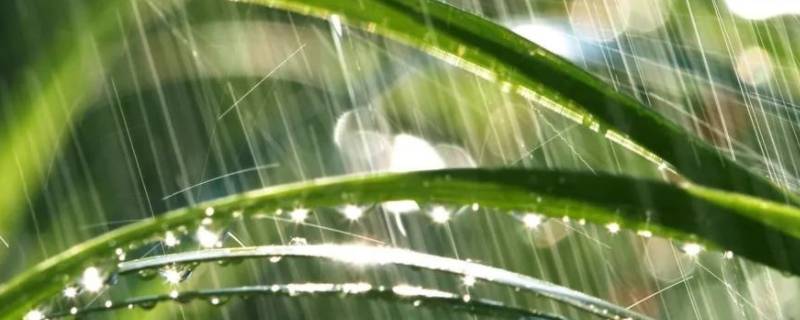 雨水流向哪里 雨水的流向