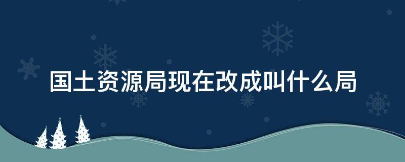 国土资源局现在改成叫什么局（现在国土资源局改为什么局了）