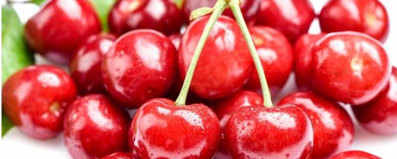 樱桃成分(樱桃成分分析)