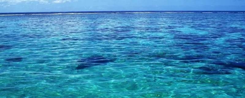 中国有几个海(中国有几个海域)