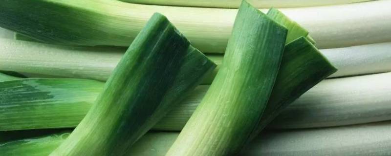 夏天大葱的保存方法（夏季大葱保鲜及储存方法）