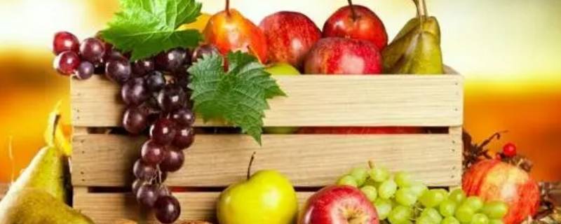 秋天的食物 适合秋天的食物