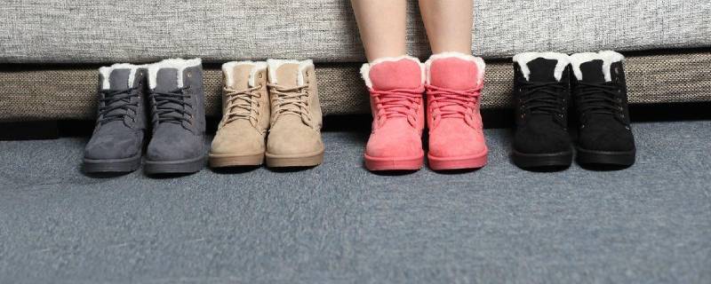 小雪像米五彩鸡指的是什么（小雪像米,洒向大地五彩鸡指的是什么一年级）