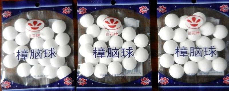 樟脑球怎么放置（樟脑球怎么放置最好）