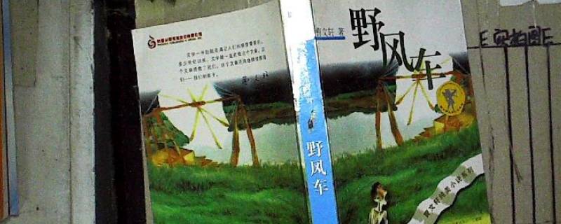 野风车的主要内容 野风车的主要内容50字