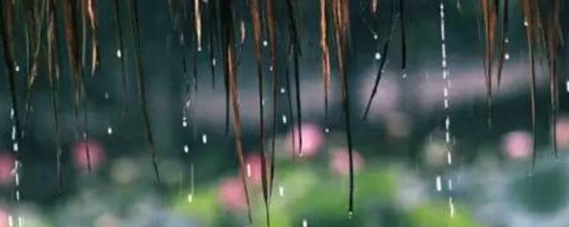 梅雨季节在哪些省 梅雨季节在哪些省份