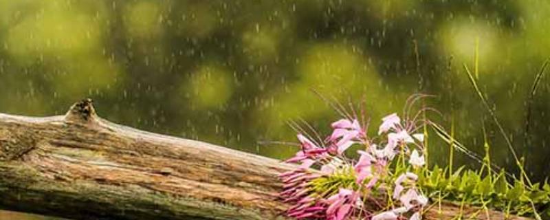 雨水量毫米是什么意思（降雨量的毫米是什么意思）