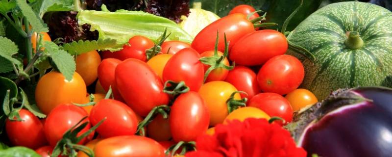 影响蔬菜中钙吸收的主要因素是 影响蔬菜中钙吸收的主要因素是琥珀