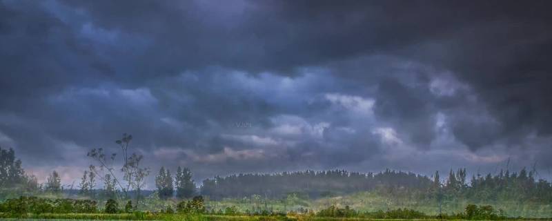 暴雨预警信号分四级分别是(暴雨预警信号分为四级按严重程度)